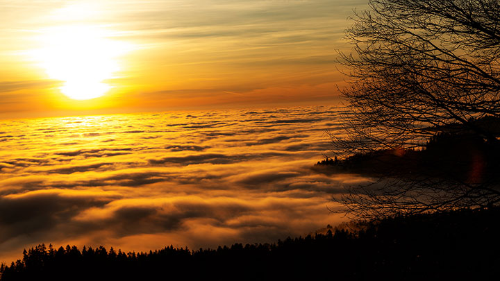 St. Englmar, Mitterfels, Straubing, Trails, steinig, Piste, anspruchsvoll, exklusiv, Premium-Hotel, Wellness, Gourmet, Wein, entspannt, Spannung, aufregend, Begeisterung, Abenteuer, G-Klasse, Offroad, Steigung, Gefälle, Schrägfahrt, Wasserdurchfahrt, Verschränkung, Erlebnis, Bayerischer Wald, Natur, Dachzelt, Lagerfeuer, Hotel, Zelt, Camping, Mercedes-Benz, Schöckl, Graz, Steiermark, Landeshauptstadt Graz, Geburtsstätte, G-Class Experience Center, Unmittelbar, Hausberg, Legende, Exklusiv, Luxus, Mercedes Benz, G500, G63, AMG, 4x4, Sotschi, Expedition, Experience, Off-Road-Fahrzeuge, Messe, Geländewagen, SUVs, wichtig, Hersteller, Allrad-Fahrzeug, Off-Road-Fahrzeug, ABENTEUER & Allrad, namhaft, Vielzahl, Modell, Reisemobil, Caravaning, Boom, Reisemobil-Branche, Expeditionsfahrzeug, Wüste, Wüstenfahrzeug, Wohnmobilaufbau, Anfassen, Quads, ATVs, Zweiräder, Markt, ideal, Plattform, Reise, Westalpen, Ausgangspunkt, Offroad-Reise, hektisch, Alltag, spannend, Spannung, Kurvenreich, Sträßchen, Straße, Weg